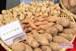 順德名優(yōu)農(nóng)產(chǎn)品展區(qū)深受市民青睞，食用農(nóng)產(chǎn)品引領(lǐng)健康新風(fēng)尚